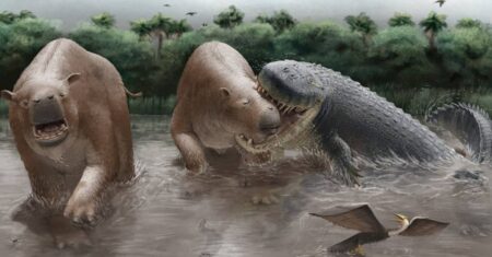 Crocodilo gigante de 7 metros dominava antigo lago sul-americano