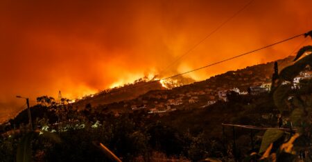 O que a fumaça de incêndios florestais faz com o seu coração